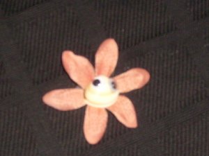 Speckle the shell flower