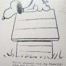 1950 Schulz Charlie Brown Peanuts Magnetic Bulletin Board