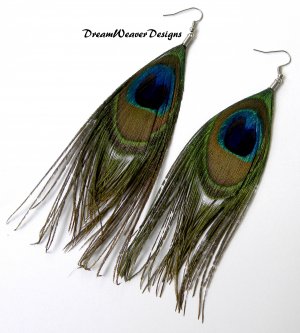 Peacock Feather Earrings