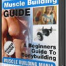 Muscle Building Mania-A beginners guide to muscle building