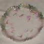 RS Prussia Porcelain Plate