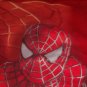Boy's Spiderman Tee-shirt size size 10/12 Large
