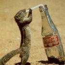 Coca Cola Recipes