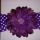 Flowers on Headbands