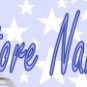 Blue Star Fairy Customized eBay Store Logo 310 X 90 #L036
