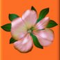 Flower on Orange eCrator Store Logo Set Web Set OOAK #E20
