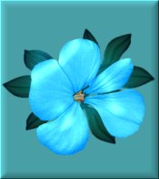 Bright Aqua Flower on Aqua eCrator Store Logo Set Web Set OOAK #E24