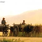 Thai Farmer Folkways Postcard