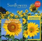 SUNFLOWERS 2007 GIFT SET