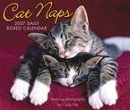 CAT NAPS 2007 DAILY BOXED CALENDAR