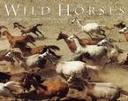 WILD HORSES 2007 DELUXE WALL CALENDAR-20%OFF THIS ITEM!