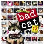 BAD CAT 2007 WALL CALENDAR