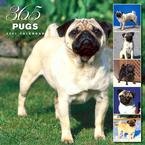 365 DAYS OF PUGS 2007 WALL CALENDAR