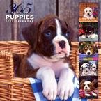 365 DAYS OF PUPPIES 2007 WALL CALENDAR
