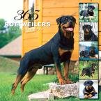 365 DAYS OF ROTTWEILERS 2007 WALL CALENDAR