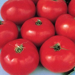 TOMATO-RED BRANDYWINE-HEIRLOOM!****500 SEEDS