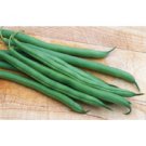 GREEN BEAN-FOREMOST***500 SEED!