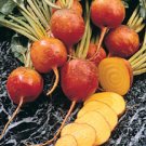 BEET-GOLDEN BEET (ORGANIC)*****180 SEED!