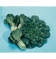 ASIAN GREENS*TATSOI******ORGANIC*******100 SEED!