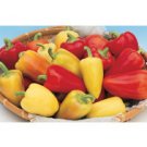 SWEET ETHNIC PEPPER**ANTOHI ROMANIAN**HEIRLOOM & ORGANIC***10 SEED