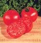 TOMATO***BIG BOY**********************50 SEED