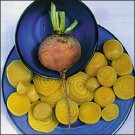 BEET-BURPEE'S GOLDEN****HEIRLOOM & ORGANIC***1,000 SEED
