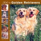 365 Days of Golden Retrievers 2008 Wall Calendar