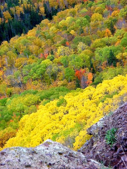 Copper Harbor in Fall--Brockway Mountain--#1
