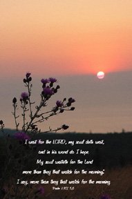Patience In The Dusk**8"x10" Framed Art**Psalm 40:1-4