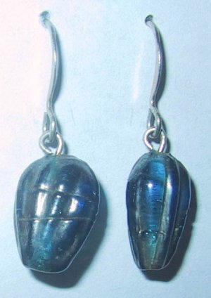 Sporty Pierced Earrings