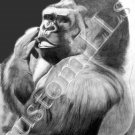 Think (original) - 18 x 24 Poster Print (L)