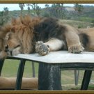 Sleep