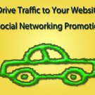 Twitter Website Promotions 10 items 14 days