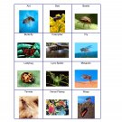 PECS Print It Yourself Communication Boards Volume 3  Instant Dowload