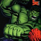 Marvel Comics HULK 6 VARIANT EDITION Loeb McGuinness IRON MAN SHE HULK THING THOR