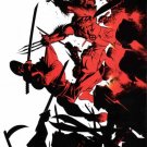 Marvel Comics WOLVERINE 106 - 109 Larry Hama Adam Kubert Anthony Winn Dan Green ELEKTRA
