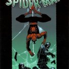 Marvel Comics AMAZING SPIDER-MAN VOL. 3: UNTIL THE STARS TURN COLD (1st Print) Straczynski Romit Jr.