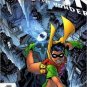 DC Comics ALL-STAR BATMAN & ROBIN THE BOY WONDER 1 Miller Lee Williams