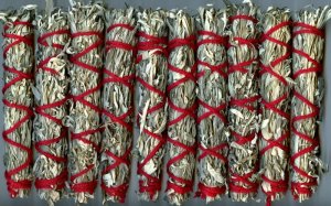 10 Medium Size Premium Grade Dakota White Sage Smudge Bundles Wholesale Lot ~ FREE SHIPPING ~