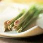 Lemongrass - All Natural Goat Milk Soap - Round Bar