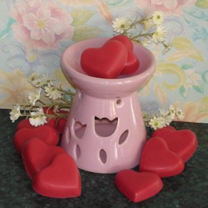 CANDLE GIFT SET - 12 Heart Shaped Soy Melties & Tart Burner Combo