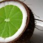 Coconut Lime Verbena - All Natural Goat Milk Soap