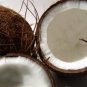 Coconut Blast - All Natural Goat Milk Soap