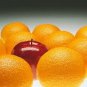 Autumn Spice - All Natural Goat Milk Soap
