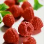 Raspberry Vanilla - All Natural Goat Milk Soap