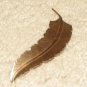 Vintage Costume Jewelry Goldtone 3"  Leaf Pin