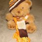 Plush 16" Honey Teddy Bear with Custom Outfit