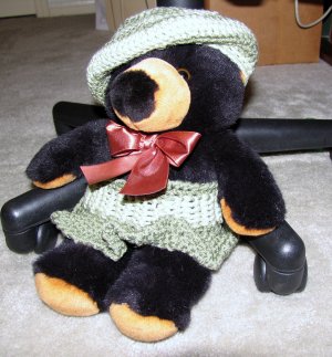 Plush Black 15" Teddy Bear w Custom Crocheted Outfit