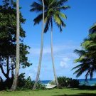 Hull Bay Hideaway