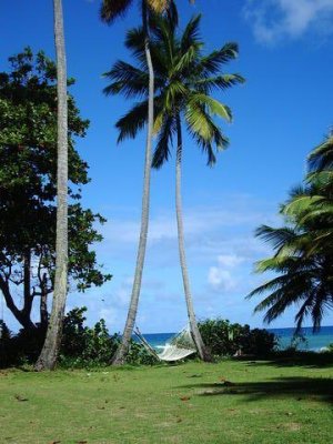 Hull Bay Hideaway